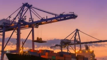 Crane Snags Image