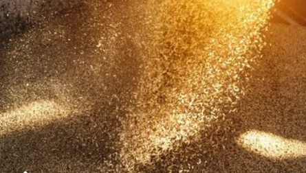 Fire Risk Image TT Talk Dec 25